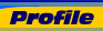 ICD Electrics Company Profile