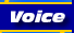ICD Voice Services